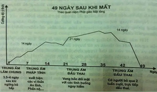 Trung ấm