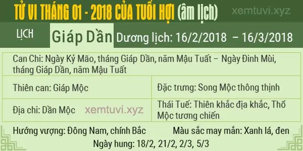 Xem tử vi tháng 1 năm 2018 của tuổi Hợi