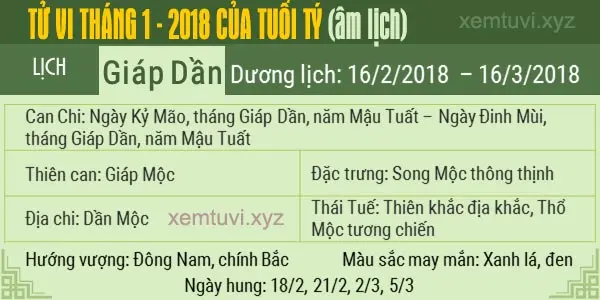 Xem tử vi tháng 1 năm 2018 của tuổi Tý