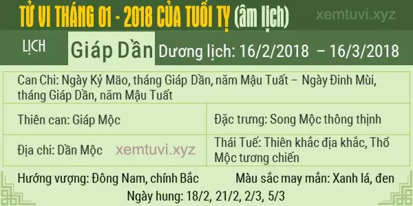 Xem tử vi tháng 1 năm 2018 của tuổi Tỵ
