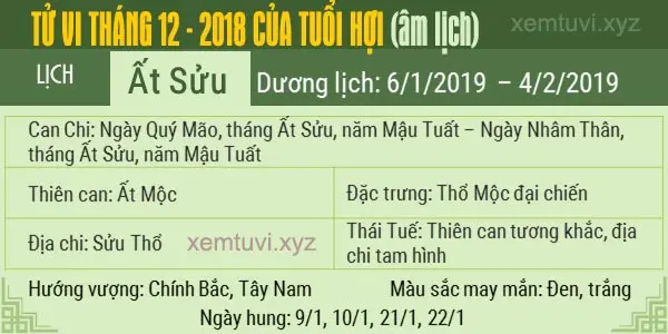 Xem tử vi tháng 12 năm 2018 của tuổi Hợi