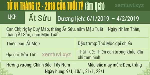 Xem tử vi tháng 12 năm 2018 của tuổi Tí