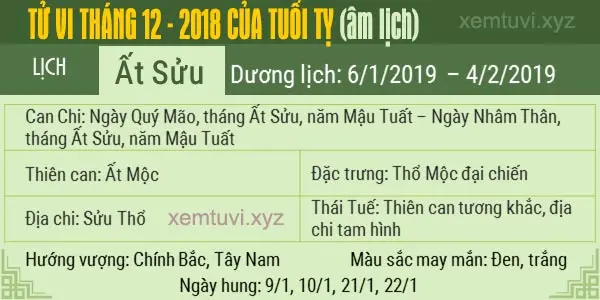 Xem tử vi tháng 12 năm 2018 của tuổi Tỵ