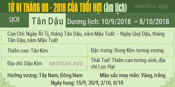 Xem tử vi tháng 8 năm 2018 của tuổi Hợi