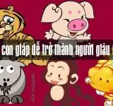 5 con giáp dễ trở thành người giàu nhất