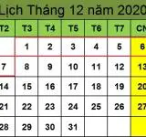 Tử vi hàng tuần từ ngày 01/12/2020 đến ngày 07/12/2020