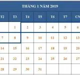 Tử vi hàng tuần từ ngày 02/01/2019 đến ngày 08/01/2019