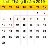 Tử vi hàng tuần từ ngày 05/06/2019 đến ngày 11/06/2019