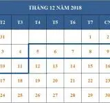Tử vi hàng tuần từ ngày 05/12/2018 đến ngày 11/12/2018