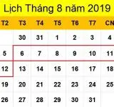 Tử vi hàng tuần từ ngày 06/08/2019 đến ngày 12/08/2019