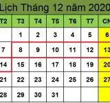 Tử vi hàng tuần từ ngày 08/12/2020 đến ngày 14/12/2020