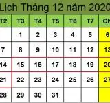 Tử vi hàng tuần từ ngày 15/12/2020 đến ngày 21/12/2020
