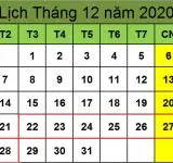 Tử vi hàng tuần từ ngày 22/12/2020 đến ngày 28/12/2020