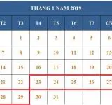 Tử vi hàng tuần từ ngày 23/01/2019 đến ngày 29/01/2019