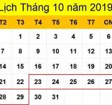Tử vi hàng tuần từ ngày 23/10/2019 đến ngày 29/10/2019