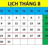 Tử vi hàng tuần từ ngày 24/08/2021 đến ngày 30/08/2021