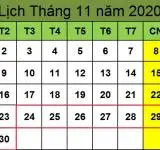 Tử vi hàng tuần từ ngày 24/11/2020 đến ngày 30/11/2020