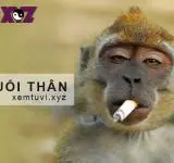 12 con giáp người tuổi Thân