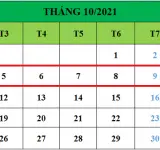 Tử vi hàng tuần từ ngày 05/10/2021 đến ngày 11/10/2021