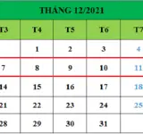 Tử vi hàng tuần từ ngày 07/12/2021 đến ngày 13/12/2021