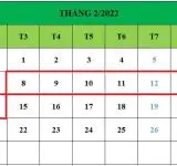 Tử vi hàng tuần từ ngày 08/02/2022 đến ngày 14/02/2022