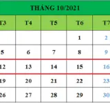 Tử vi hàng tuần từ ngày 12/10/2021 đến ngày 18/10/2021