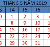 Tử vi hàng tuần từ ngày 14/05/2019 đến ngày 20/05/2019