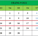 Tử vi hàng tuần từ ngày 14/09/2021 đến ngày 20/09/2021