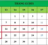 Tử vi hàng tuần từ ngày 14/12/2021 đến ngày 20/12/2021