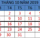 Tử vi hàng tuần từ ngày 15/10/2019 đến ngày 21/10/2019