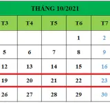 Tử vi hàng tuần từ ngày 19/10/2021 đến ngày 25/10/2021