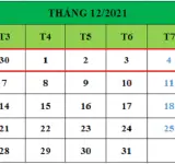 Tử vi hàng tuần từ ngày 30/11/2021 đến ngày 06/12/2021