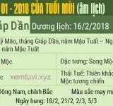 Xem tử vi tháng 1 năm 2018 của tuổi Mùi