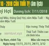 Xem tử vi tháng 10 năm 2018 của tuổi Tỵ
