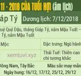 Xem tử vi tháng 11 năm 2018 của tuổi Hợi