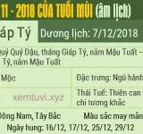 Xem tử vi tháng 11 năm 2018 của tuổi Mùi