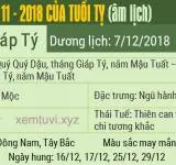 Xem tử vi tháng 11 năm 2018 của tuổi Tỵ
