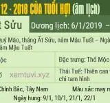 Xem tử vi tháng 12 năm 2018 của tuổi Hợi