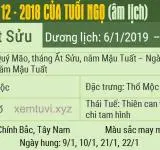 Xem tử vi tháng 12 năm 2018 của tuổi Ngọ