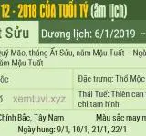 Xem tử vi tháng 12 năm 2018 của tuổi Tí