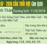 Xem tử vi tháng 7 năm 2018 của tuổi Hợi