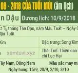 Xem tử vi tháng 8 năm 2018 của tuổi Mùi