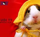 12 con giáp người tuổi Tí